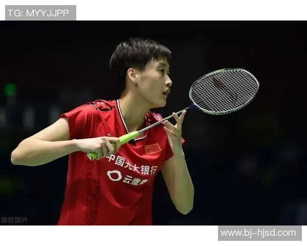 北京羽毛球队战术表现深度数据分析与策略优化研究 北京羽毛球队战术表现深度数据分析与策略优化研究