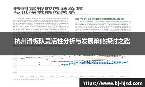杭州滑板队灵活性分析与发展策略探讨之路